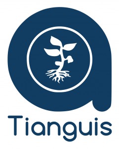 LogoTianguis186299